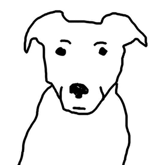 dog black background