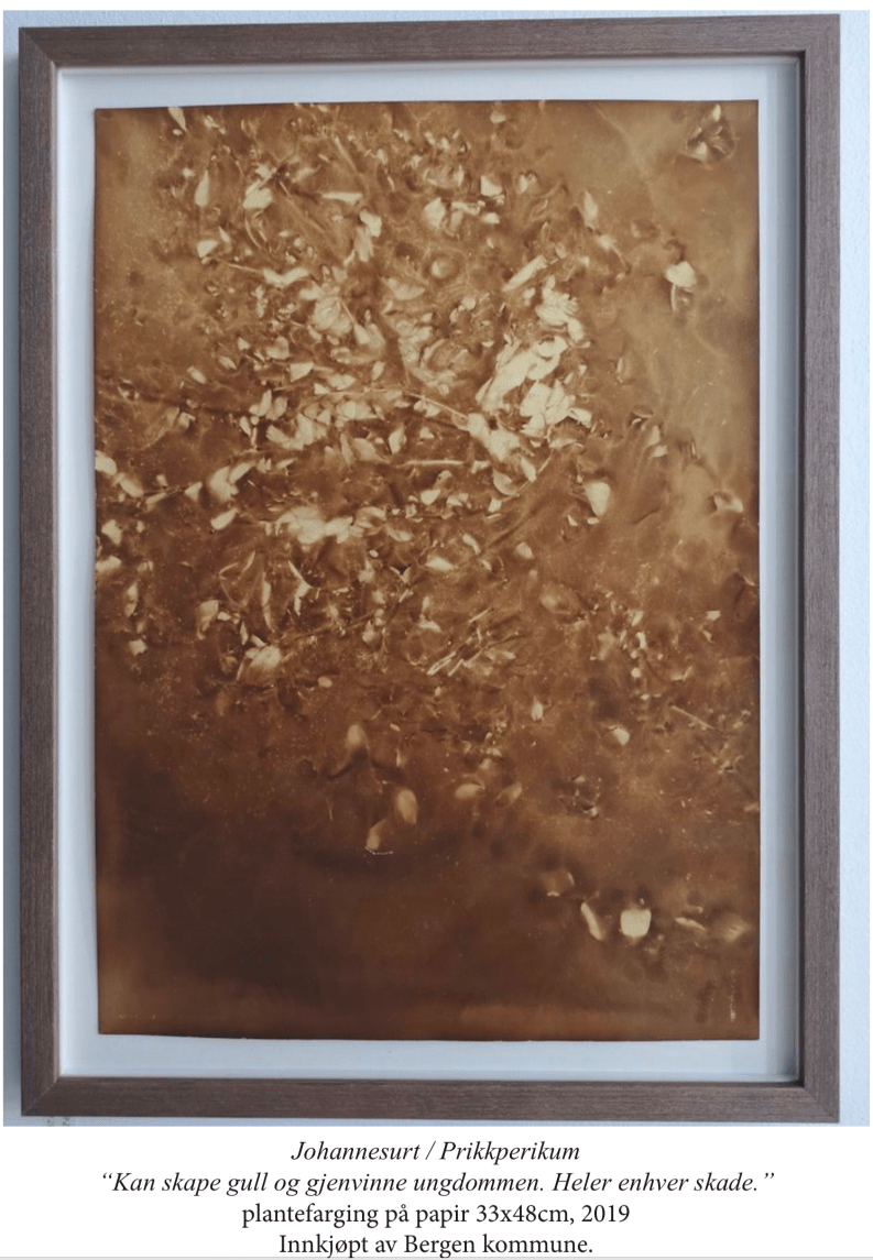 Skjermbilde 2020-12-04 kl. 10.34.25