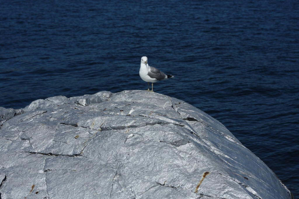 sculpture / installation