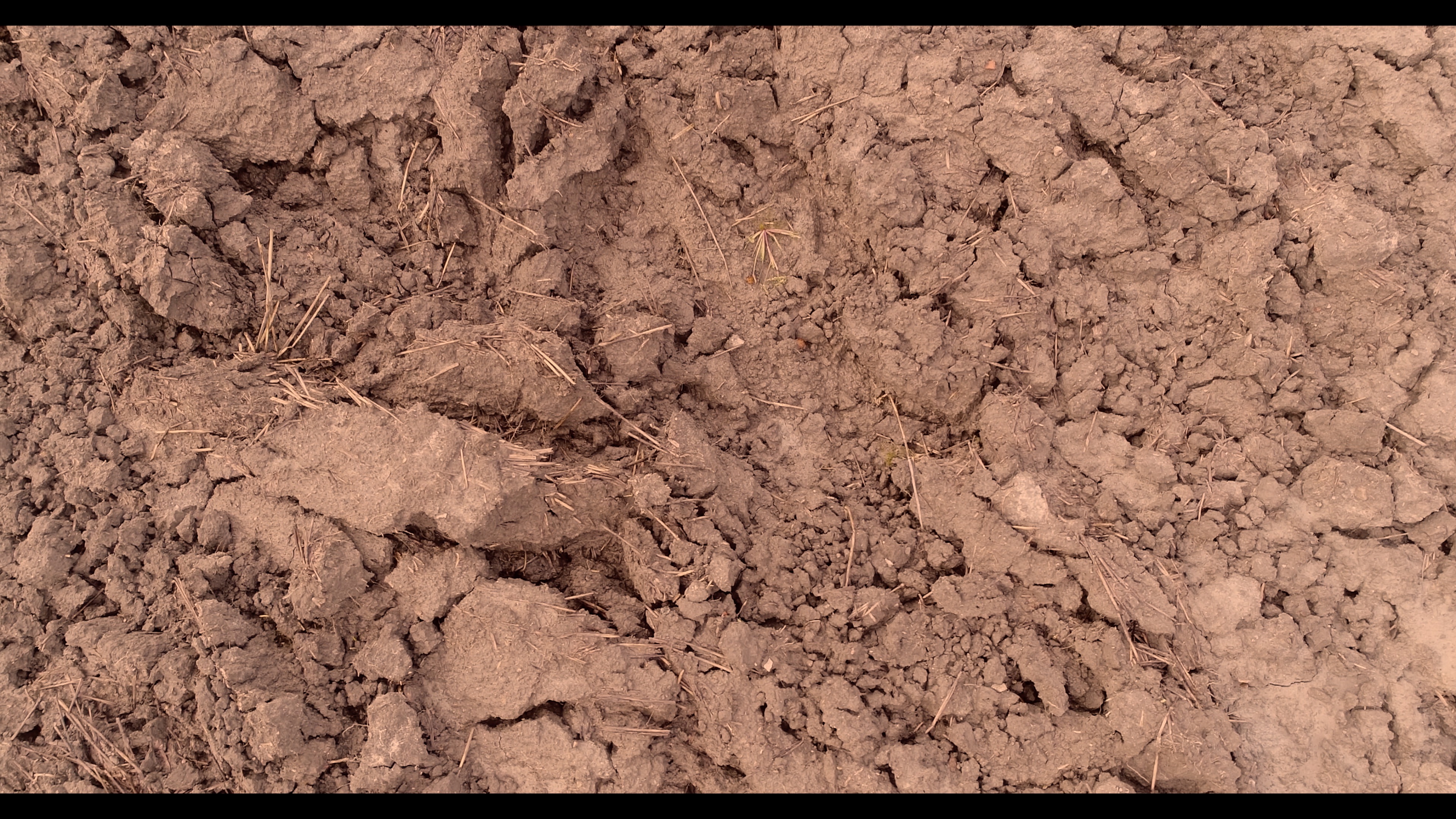 still 2 anne m telemark 2017